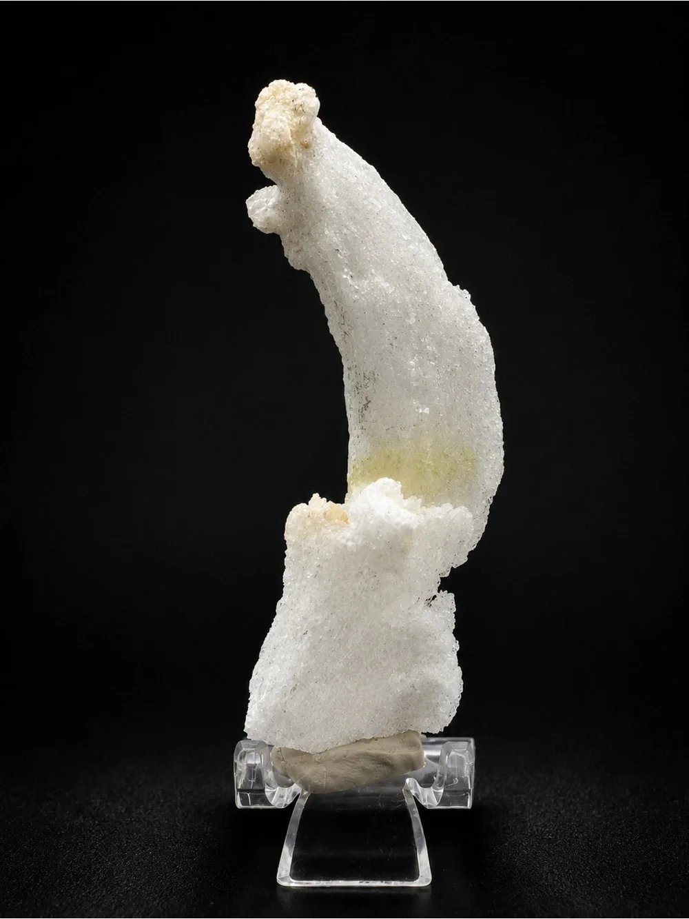 Ram’s Horn Selenite-Morocco